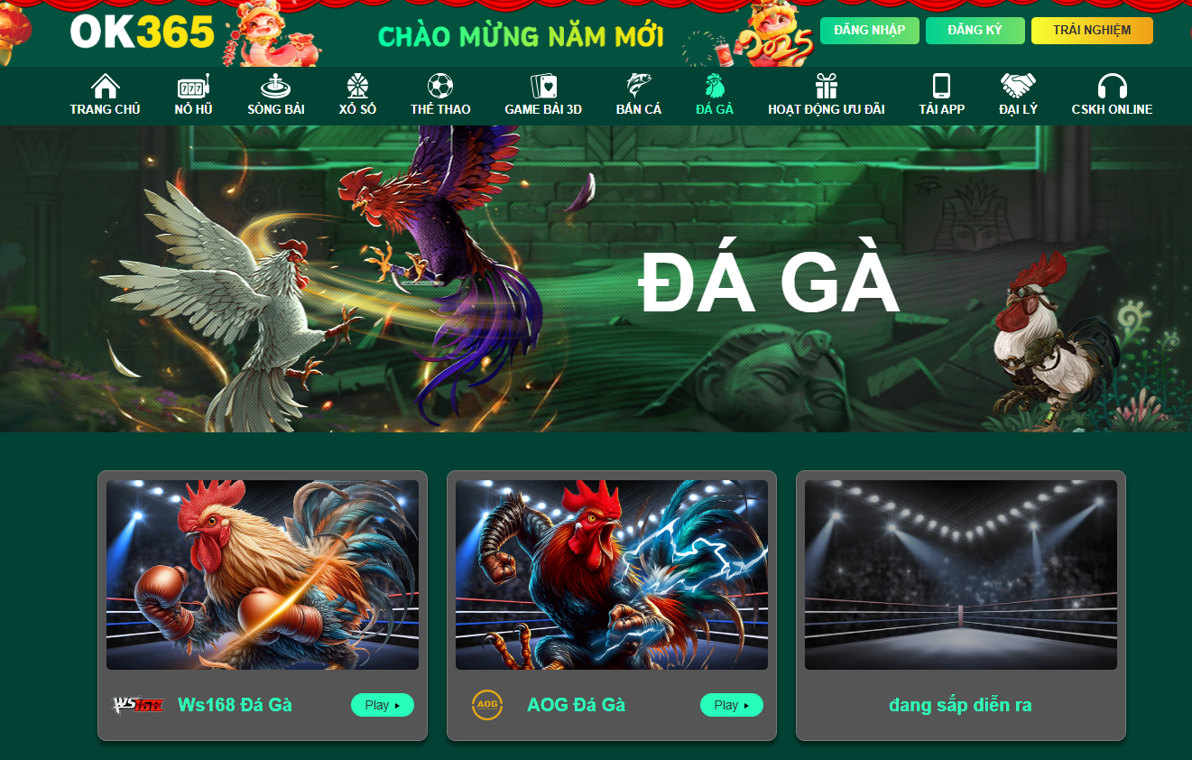 Đá gà trực tiếp phát sóng hàng trăm trận mỗi ngày từ các trường gà nổi tiếng, chất lượng HD, giúp người chơi theo dõi và đặt cược dễ dàng